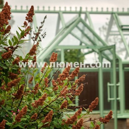 Красивый вид Английской теплицы.