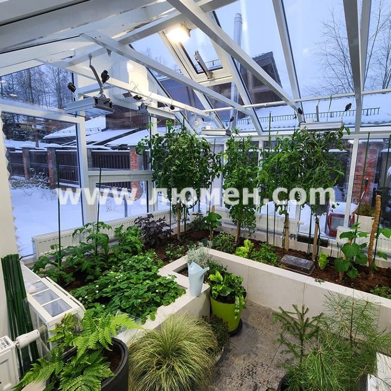 Выращивание зимой Выращивание зимой